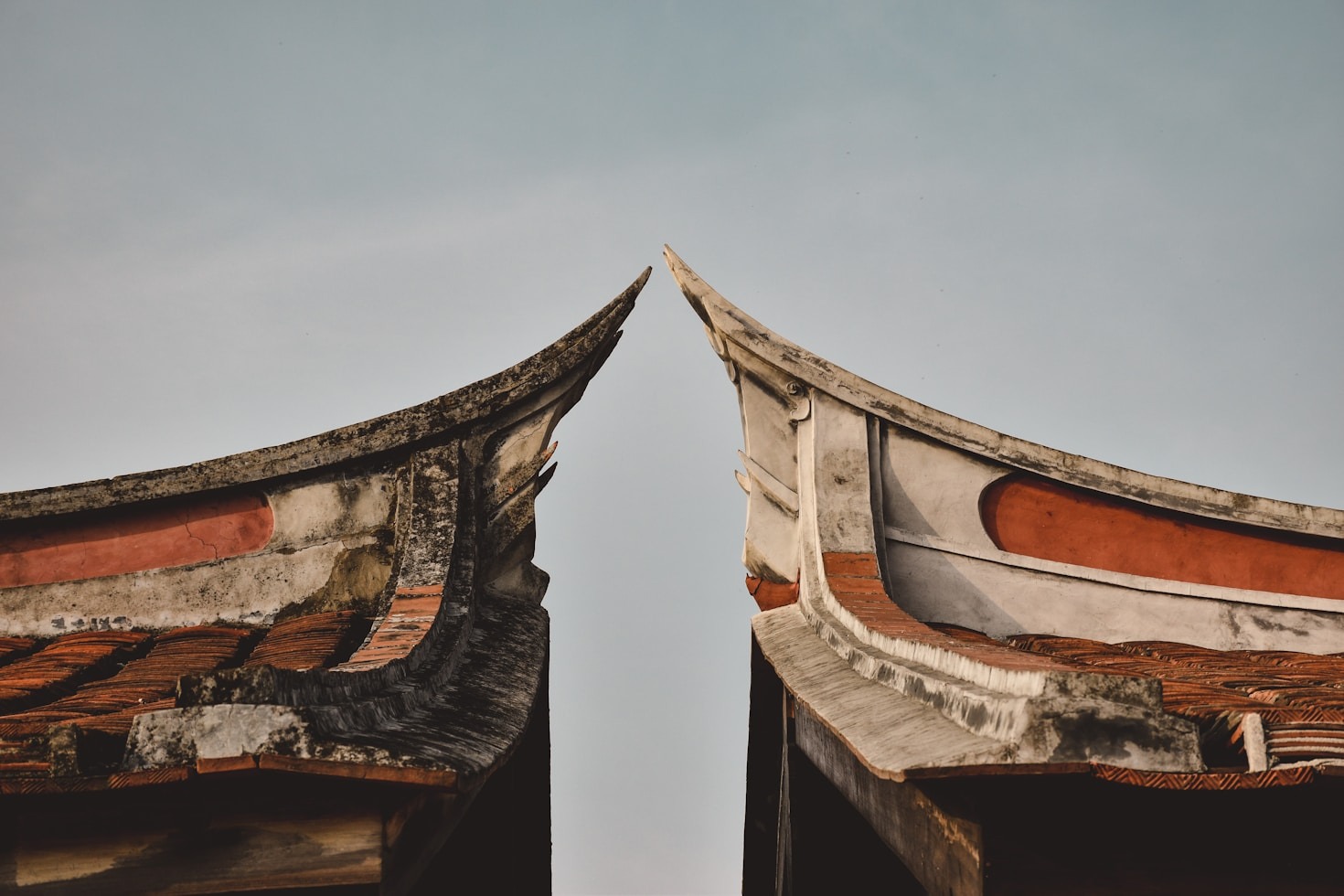 Daoism: Harmony Between Nature and Humanity